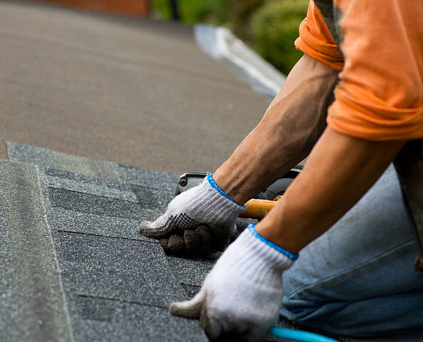 Best Flat Roof Repair Services  in Chippewa Falls, WI